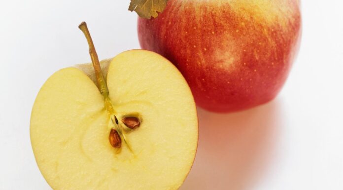 La pomme, ce fruit qui n’en est pas vraiment un