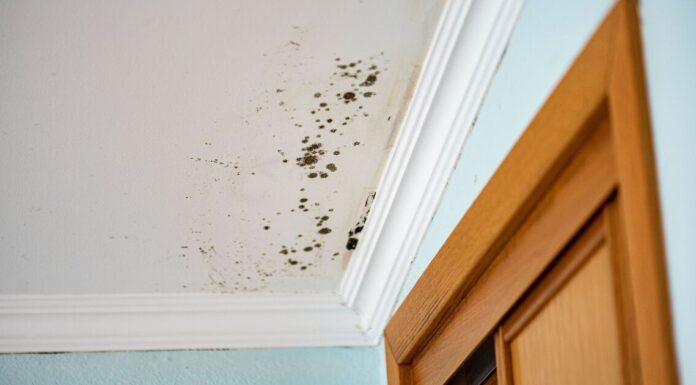 Home will stay mould free if you keep heating at this temperature