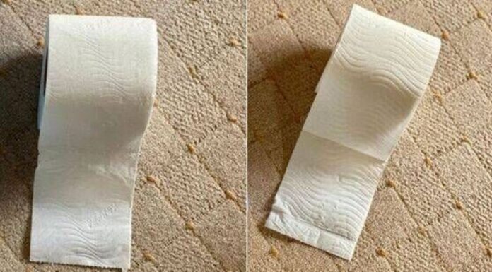 I tried toilet paper from Aldi, M&S and 6 more shops – the best was a 50p roll
