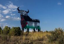 Why is the Palestinian issue so important among Spain's public and politicians?