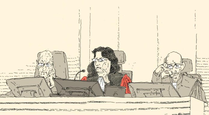 ce qui a motivé la condamnation à trente ans de réclusion criminelle