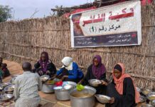 les paramilitaires disent avoir pris le contrôle d’El-Fasher, l’ONU demande un passage sûr pour les civils piégés