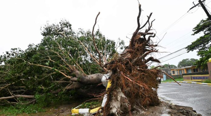 L’ouragan Melissa, un « monstre » avec des vents de 300 km/h, a traversé la Jamaïque et sème la désolation dans les Caraïbes