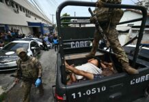 au moins 132 morts, selon un organisme public