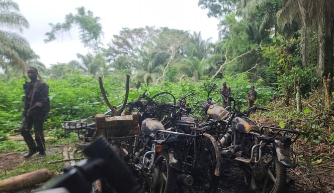 En RDC, une nouvelle attaque des Forces démocratiques alliées fait au moins 19 morts