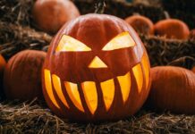 Pumpkins should be carved on 1 date to ensure they last till Halloween
