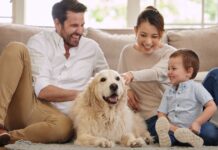 14 friendliest dog breeds that are great for families