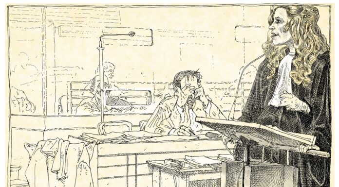 Au procès Jubillar, un grand moment de défense