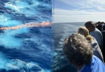 Search underway for Viking cruise crew member overboard in Mediterranean Sea