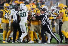 Packers-Steelers brawl ends with referees being knocked to ground