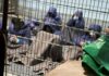 au moins 98 Palestiniens sont morts dans les prisons israéliennes au cours des deux dernières années