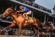 Last two Kentucky Derby winners scratched from Breeders Cup