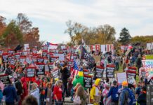 La mauvaise passe de Donald Trump