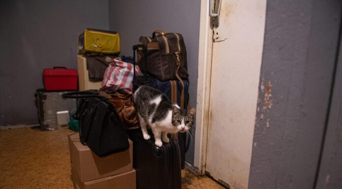 Comment expliquer le nombre croissant d’expulsions locatives forcées ?