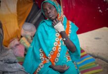 à El-Fasher, les paramilitaires tentent d’effacer les traces de leurs crimes