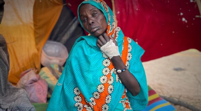 à El-Fasher, les paramilitaires tentent d’effacer les traces de leurs crimes