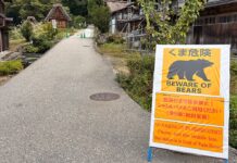 State Department warns Americans in Japan after deadly spike in bear attacks