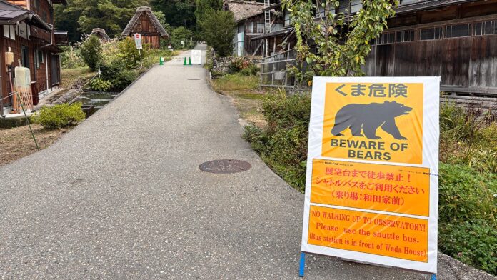 1763071850_beware-of-bears-japan.jpg