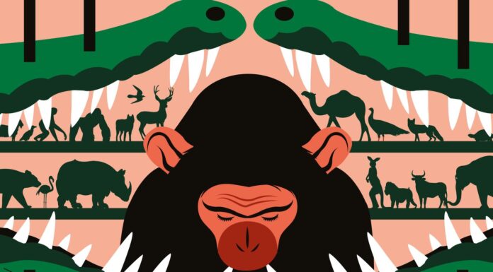 Vantara, l’immense zoo privé d’un milliardaire indien qui aspire des animaux du monde entier par milliers