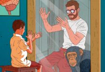 Main droite ou main gauche ? L’origine toujours mystérieuse de la latéralité