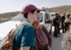 En Cisjordanie, des étrangers arrêtés pendant la récolte des olives dénoncent une « stratégie d’intimidation » d’Israël