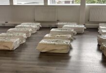 A Londres, des fermes à escargots servent à contourner le fisc