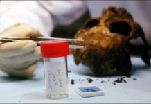 « Comment la génétique réécrit l’histoire du Moyen Age », de Patrick J. Geary : dans le melting-pot médiéval