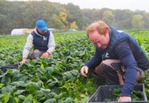 Comment un ancien ingénieur chez Ariane et un fils d’agriculteurs intensifs se sont reconvertis pour créer un « projet agricole inspirant »