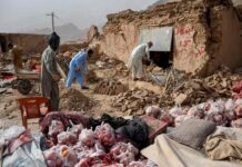 les images du séisme qui a fait plus de vingt morts et des centaines de blessés