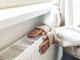 UK households urged to save hundreds in energy bills with 8 easy fixes
