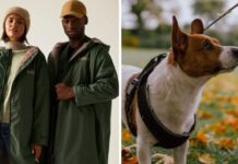 Dog owners snap up ‘waterproof and cosy’ £60 coat