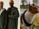 Dog owners snap up ‘waterproof and cosy’ £60 coat