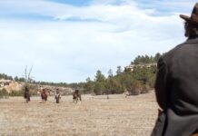 ‘Masterpiece’ Western book that inspired ‘one of the greatest movies of all time’ | Books | Entertainment