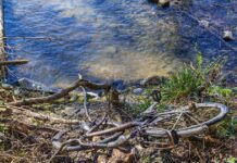 Labour under pressure to stop rural crime epidemic