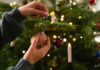 UK supermarkets to snap up best value for money Christmas trees