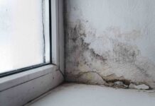 Expert shares easy and free hack to cut condensation by 90%