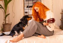 Dog shows disapproval over one band as owners left in hysterics