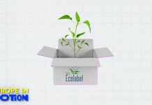 Ecolabels: Which EU countries lead the way in sustainable goods?
