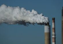 European Parliament's environment group backs deal on CO2 emission cut by 2040