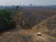 European Parliament's centrist majority splits over delayed deforestation rules
