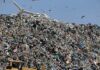 Only nine countries doing well on municipal waste recycling, EU auditors say