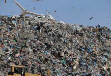 Only nine countries doing well on municipal waste recycling, EU auditors say