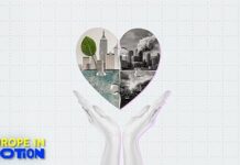 How do environmental factors contribute to cardiovascular disease in Europe?