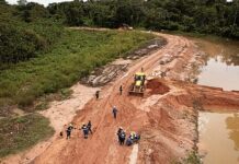 European Parliament backs simplification of EU’s anti-deforestation rules