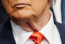 Flagorneries et humiliations, Donald Trump met la diplomatie européenne à l’épreuve