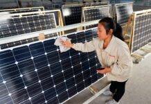 « Ceux qui sont séduits par le verdissement chinois devraient garder en tête quelques données »