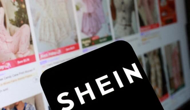 un homme possédant des poupées sexuelles achetées sur Shein mis en examen pour détention d’images pédopornographiques