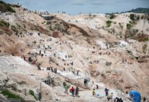 Cyrille Poirier-Coutansais, chercheur : « Intérêt impérial et transition énergétique peuvent aller de pair »