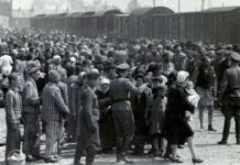 Auction of Holocaust-related items cancelled after outcry