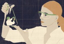 Dans la recherche, un budget en trompe-l’œil